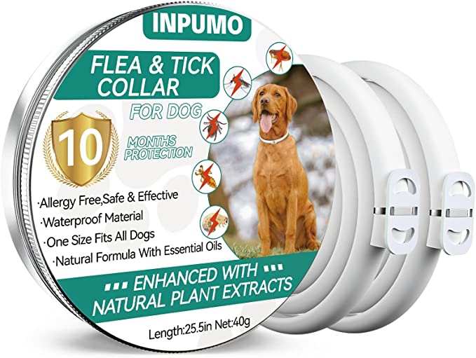 Collar Antipulgas y Garrapatas para Perros de Inpumo como prevenir pulgas y garrapatas en casa